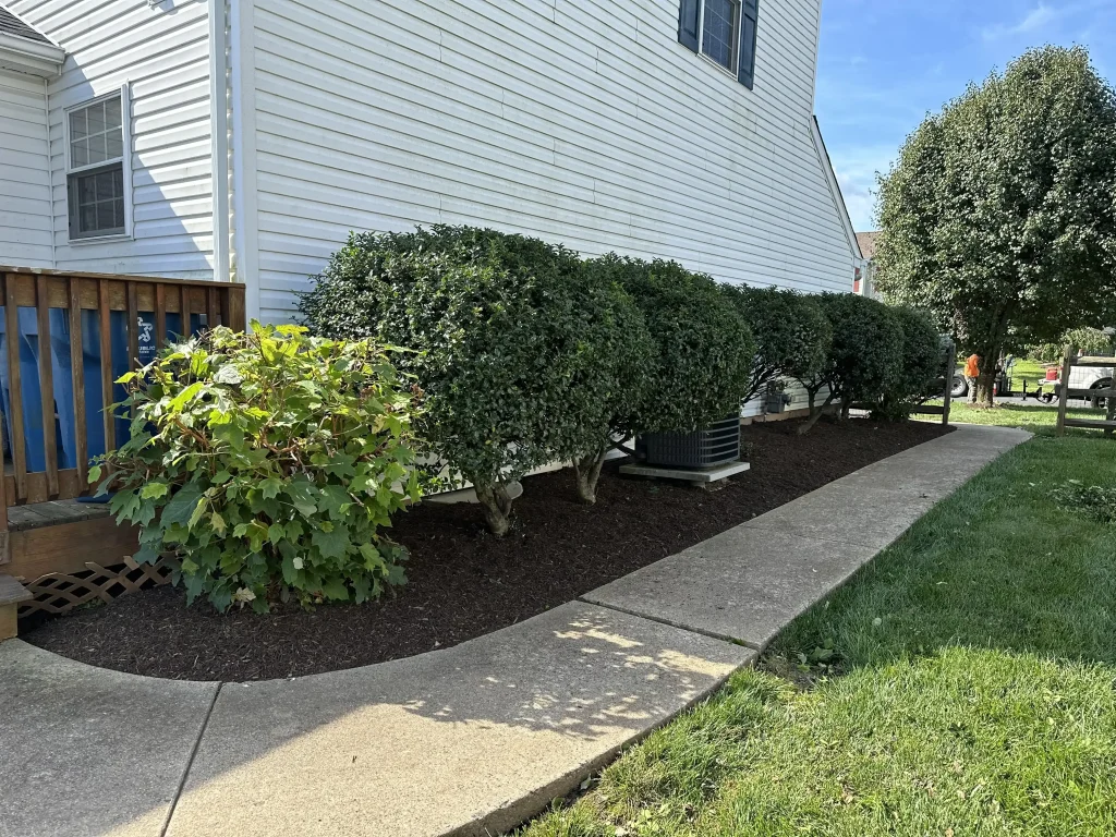 Quakertown Landscape Maintenance